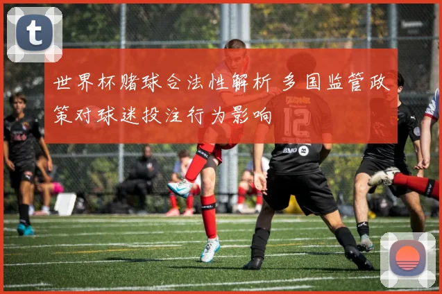 世界杯赌球合法性解析 多国监管政策对球迷投注行为影响