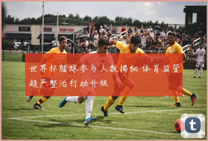 世界杯赌球参与人数揭秘 体育监管趋严整治行动升级