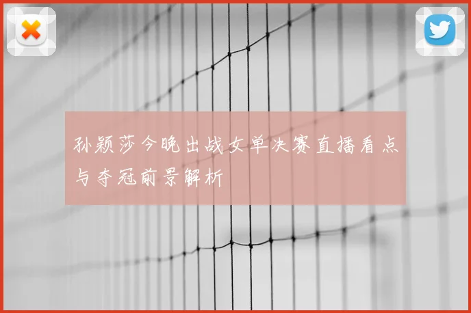 孙颖莎今晚出战女单决赛直播看点与夺冠前景解析