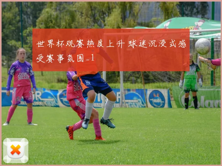 世界杯观赛热度上升 球迷沉浸式感受赛事氛围_1