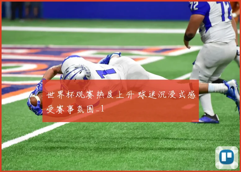 世界杯观赛热度上升 球迷沉浸式感受赛事氛围_1